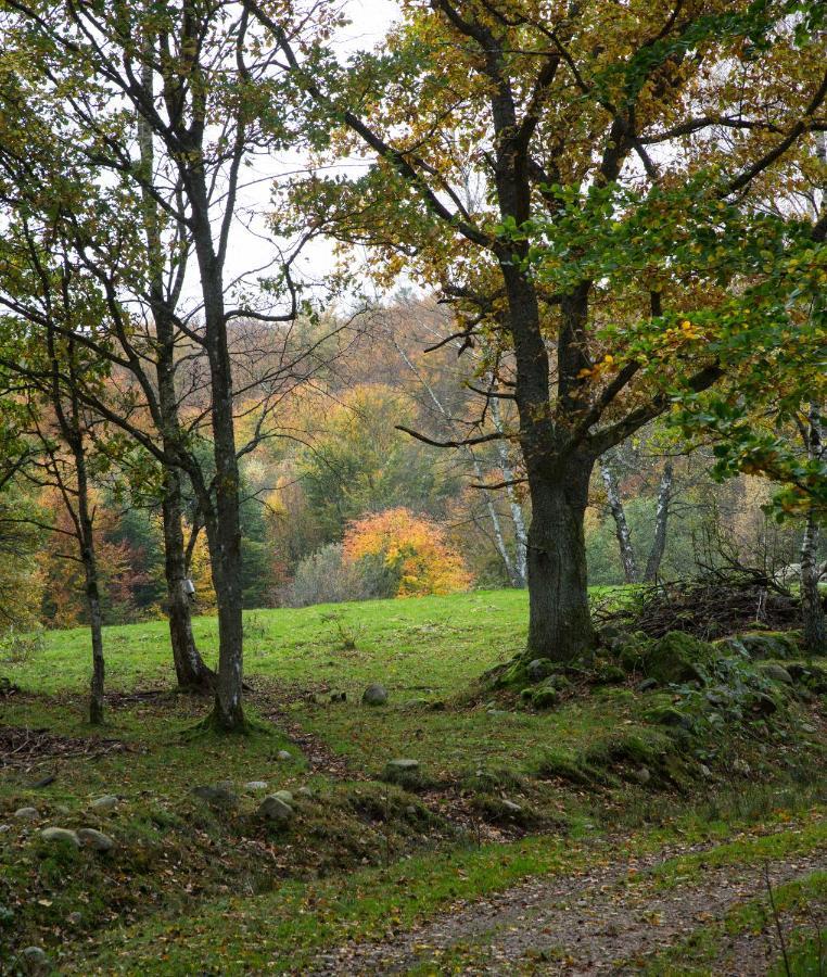 Arroeds Bostaelle Bed & Breakfast Tollarp Eksteriør bilde